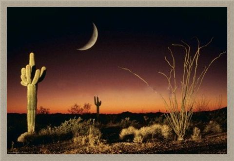 Framed Framed Desert Silhouette - Arizona Landscape