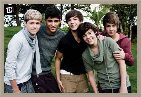 Framed Framed Beautiful Boys in the Garden - One Direction