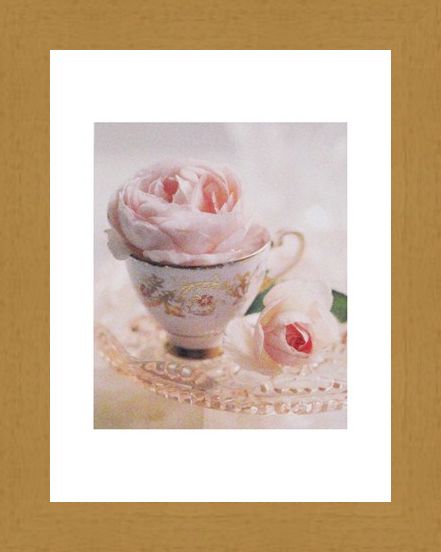 Framed Framed Pale Pink II - Lina Ricci