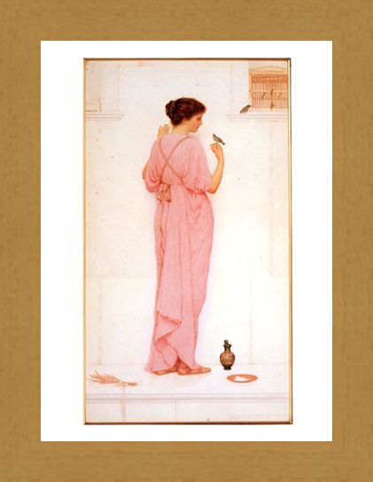 Framed Framed Song Birds - George Lawrence Bulleid
