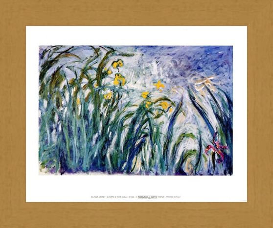 Framed Framed Campo Di Fiori Gialli - Claude Monet