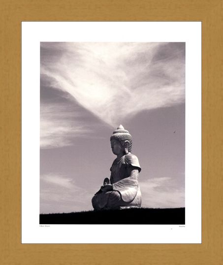 Framed Framed Buddha 2006 - Hakan Strand