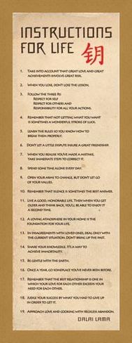 Framed Framed Instructions for Life - According to the Dalai Lama