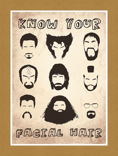 Framed Framed Know Your Facial Hair - Iconic Beards