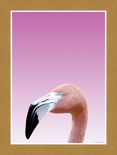 Framed Framed Flamboyant Flamingo - Inquisitive Creatures