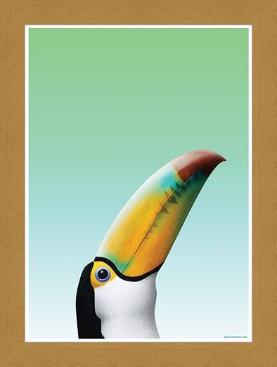 Framed Framed Toucan - Inquisitive Creatures