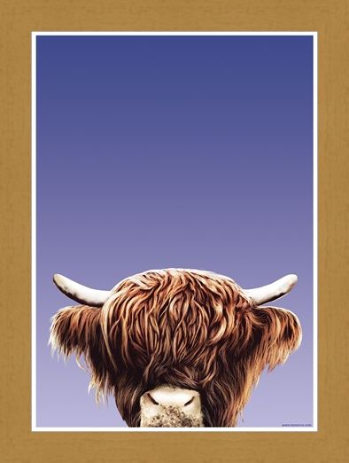 Framed Framed Hairy Highland - Inquisitive Creatures