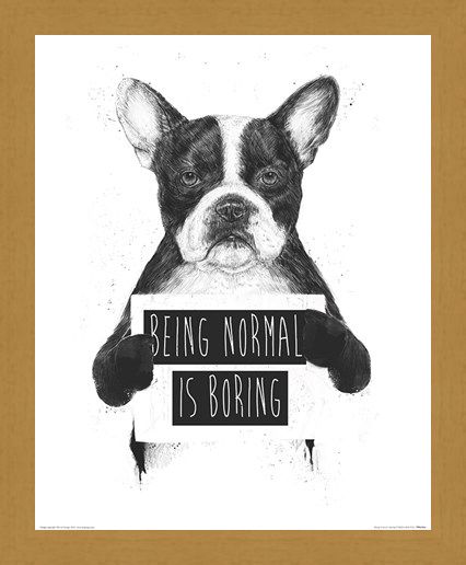 Framed Framed Being Normal Is Boring - Balazs Solti