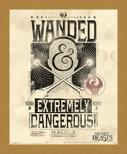 Framed Framed Extremely Dangerous - Fantastic Beasts