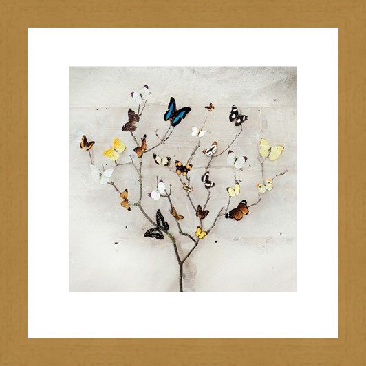 Framed Framed Tree of Butterflies - Ian Winstanley