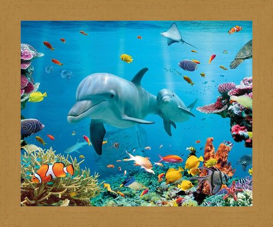 Framed Framed Tropical Ocean - Sea Creatures