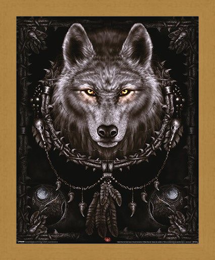 Framed Framed Wolf Dreams - Spiral