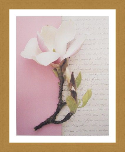 Framed Framed Emma's Garden Magnolia - Deborah Schenck