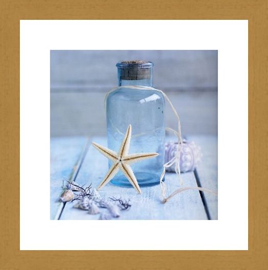 Framed Framed Seaside Treasures - Howard Shooter