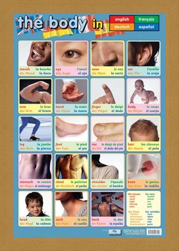 Framed Framed Body Parts - Language Guide