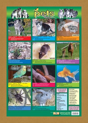 Framed Framed Pets - Not Just For Christmas!