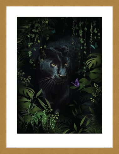 Framed Framed Panther - Summer Thornton