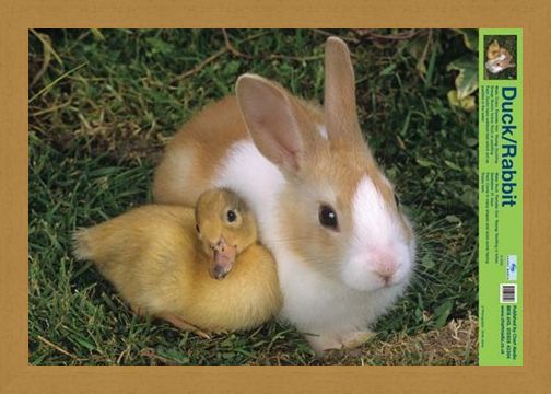 Framed Framed Best Friends - Duck And Rabbit