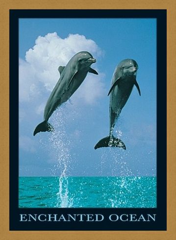 Framed Framed Dolphins Jumping - Enchanted Ocean