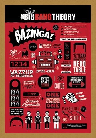 Framed Framed The Big Bang Theory Infographic - The Big Bang Theory