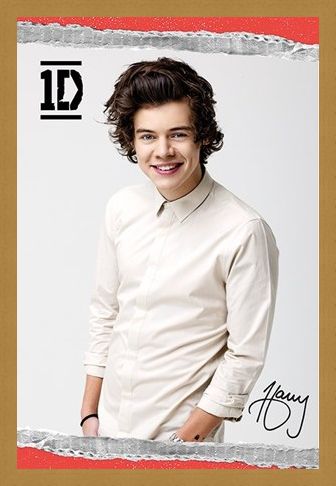 Framed Framed Harry - One Direction