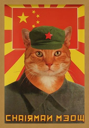 Framed Framed Chairman Meow - Calling All Meowists