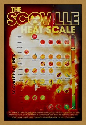 Framed Framed How Hot Can You Handle It? - The Scoville Heat Scale