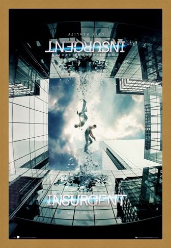 Framed Framed The Divergent Series - Insurgent