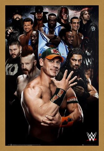 Framed Framed Superstars 2016 - WWE