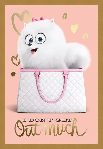 Framed Framed I Don't Get Out Much - The Secret Life Of Pets