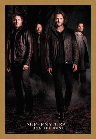 Framed Framed Season 12 - Supernatural