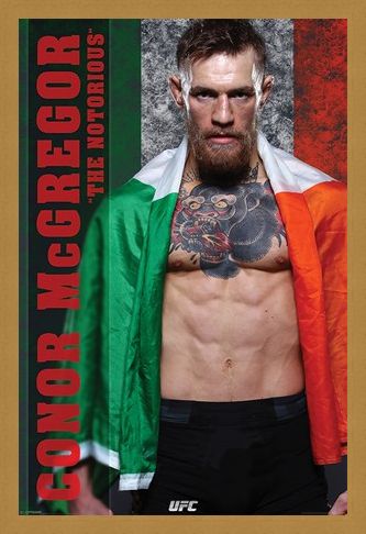 Framed Framed The Irish Champion - Conor McGregor