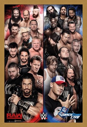 Framed Framed Raw vs Smackdown - WWE