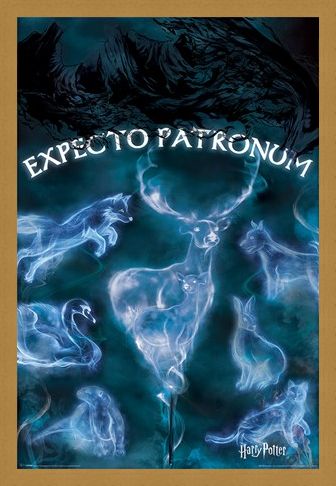 Framed Framed Expecto Patronum - Harry Potter