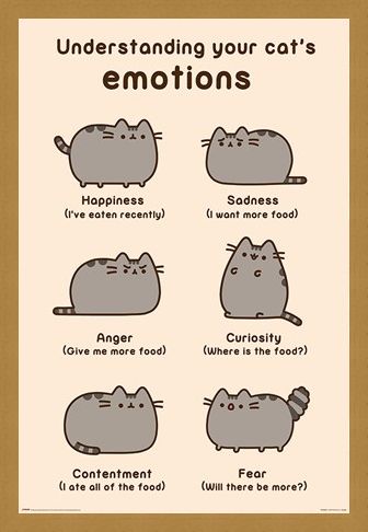 Framed Framed Cats Emotions - Pusheen