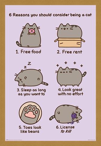Framed Framed Reasons To Be A Cat - Pusheen