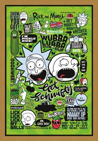 Framed Framed Out Of This World Quotes - Rick and Morty