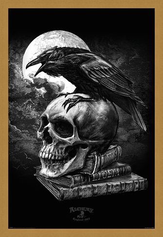 Framed Framed Poe's Raven - Alchemy