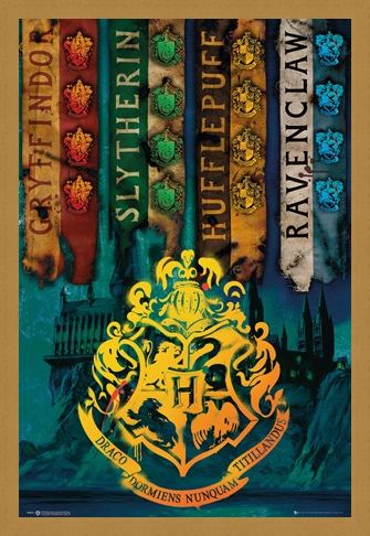 Framed Framed House Flags - Harry Potter