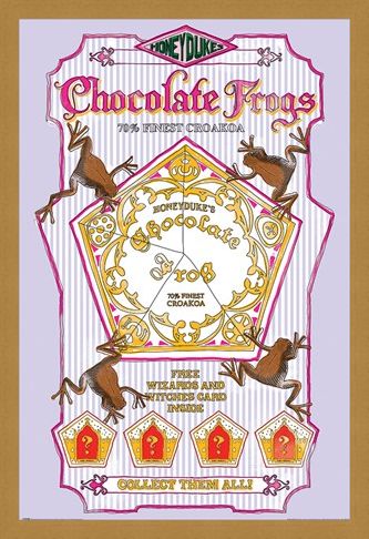 Framed Framed Honeydukes Chocolate Frogs - Harry Potter