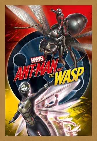 Framed Framed Ant-Man and The Wasp - Marvel