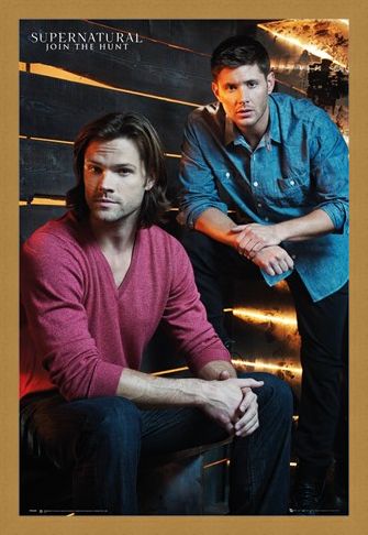 Framed Framed The Winchester Brothers - Supernatural