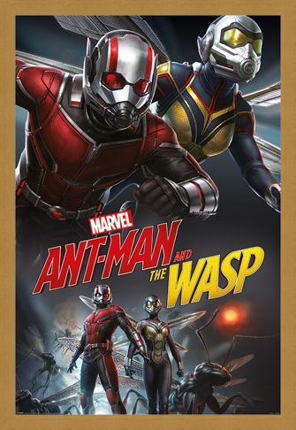 Framed Framed Ant-Man and The Wasp Dynamic - Marvel