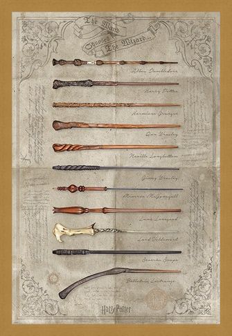Framed Framed The Wand Chooses The Wizard - Harry Potter