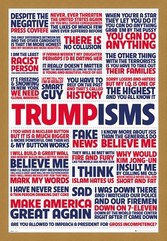 Framed Framed Trumpisms - President Trump