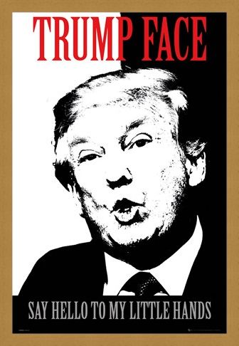 Framed Framed Say Hello To My Little Hands - Trump Face