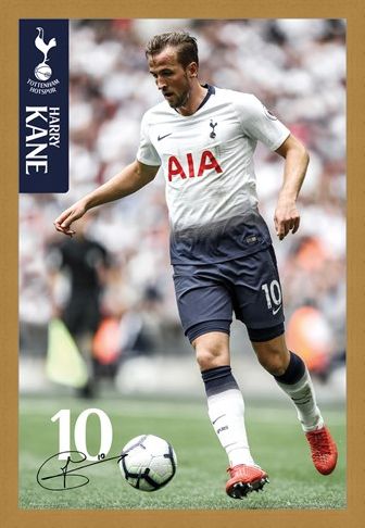 Framed Framed Kane 18-19 - Tottenham Hotspur