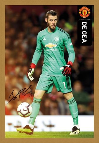 Framed Framed De Gea 18-19 - Manchester United