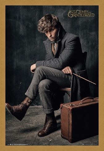 Framed Framed Newt Scamander - Fantastic Beasts 2