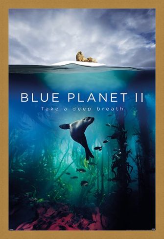 Framed Framed Take A Deep Breath - Blue Planet 2